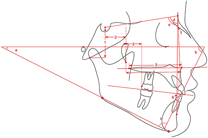 Fig. 2