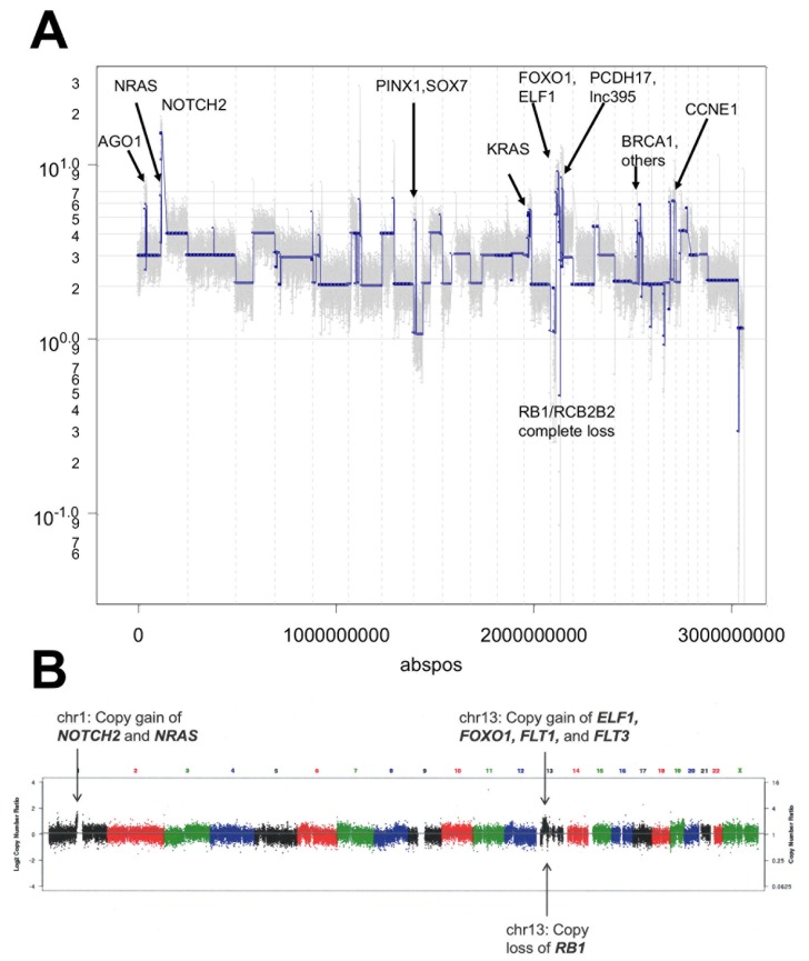 Figure 12