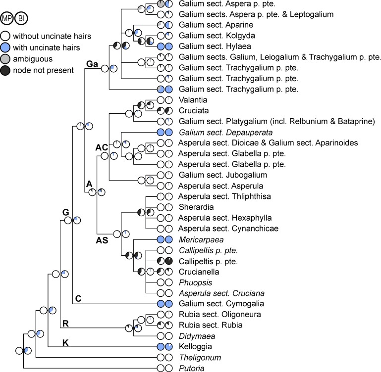 Fig 7