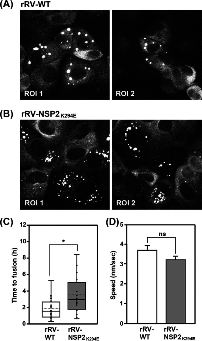 FIG 8