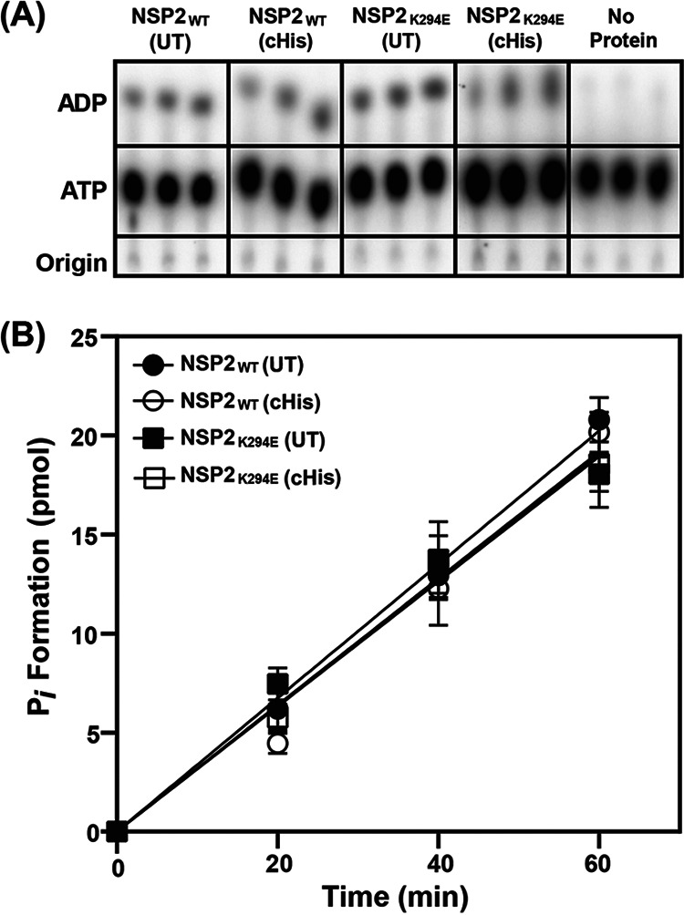 FIG 4