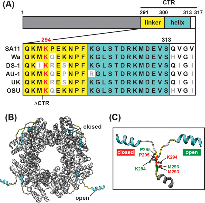 FIG 1