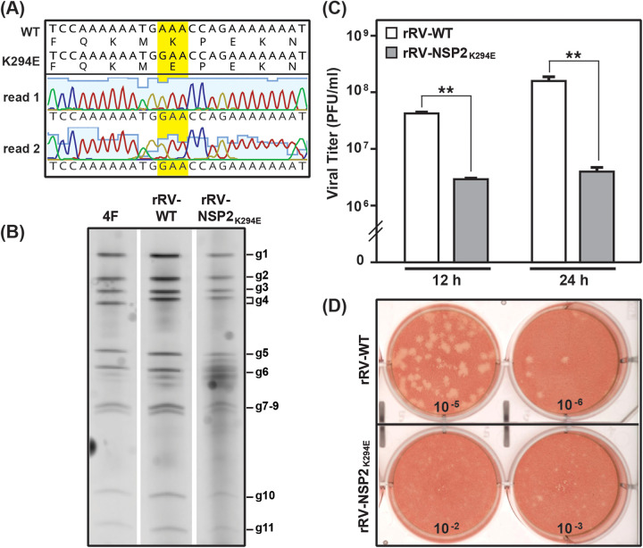 FIG 3