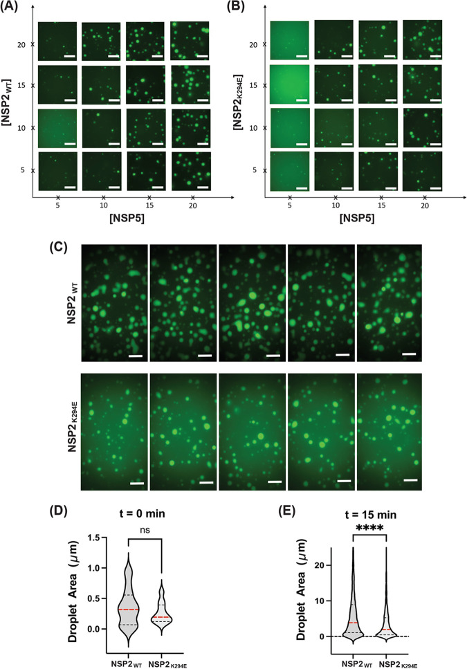 FIG 11