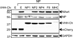 FIG 3