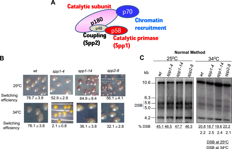 Figure 3.