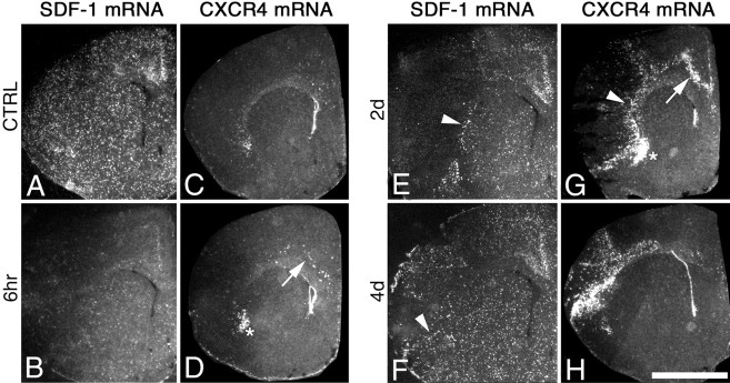 Fig. 9.