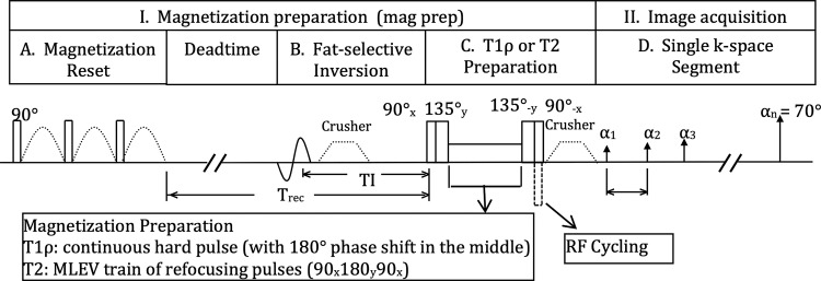 The magnetization-prepared angle-modulated partitioned k-space spoiled gradient echo snapshots–based spin-lattice relaxation time constant in rotating frame (T1ρ) and T2 imaging sequence is available as a research prototype by the three major MRI vendors including GE Healthcare, Siemens Healthineers, and Philips Healthcare Solutions. MLEV = Malcolm Levitt composite-pulse decoupling sequence, RF = radiofrequency.