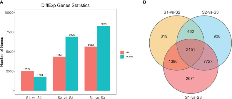 Figure 3