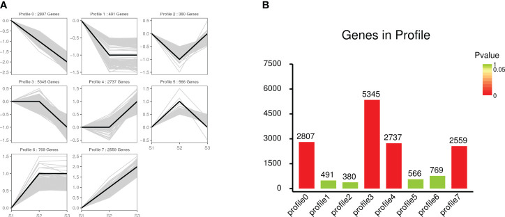 Figure 4