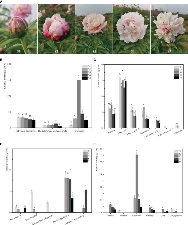 Figure 1