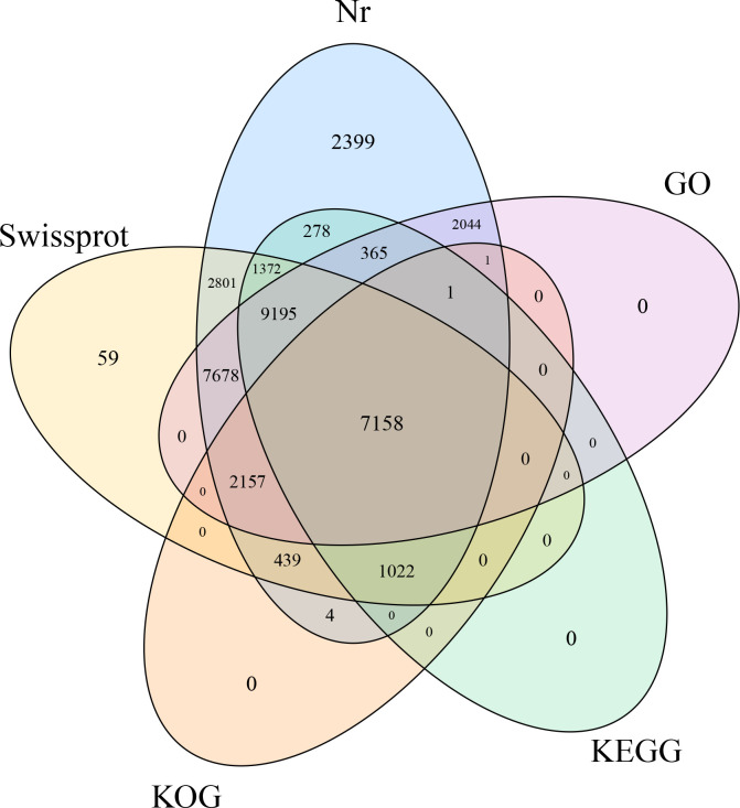 Figure 2