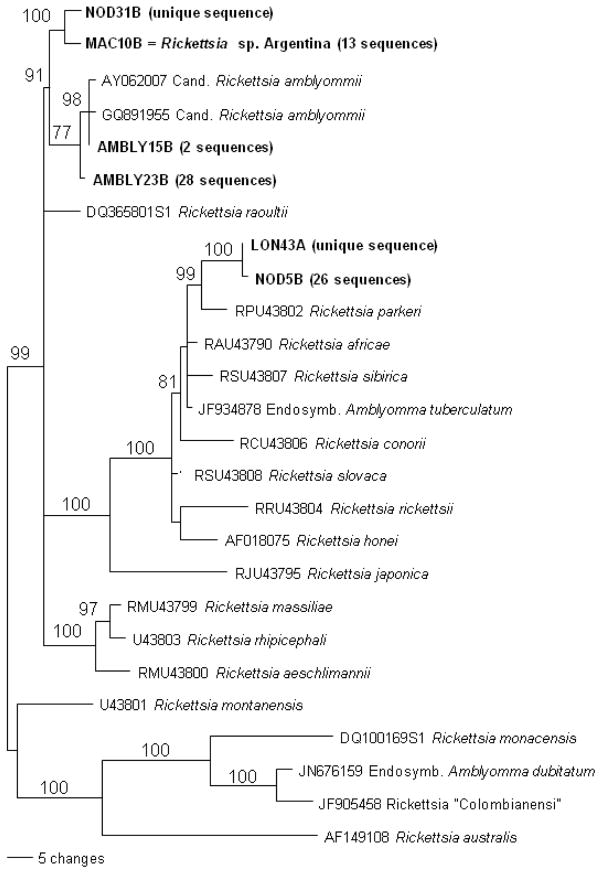 Fig 4