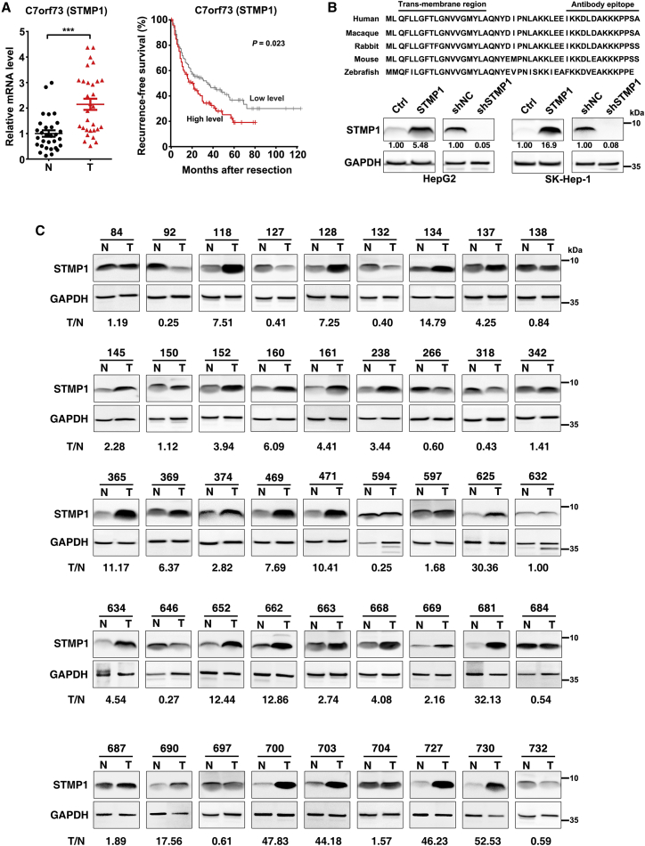 Figure 1