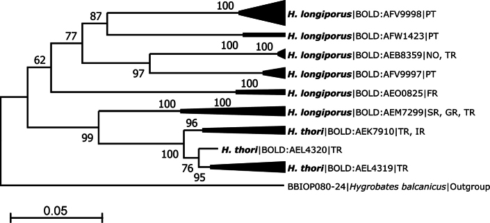 Figure 7.