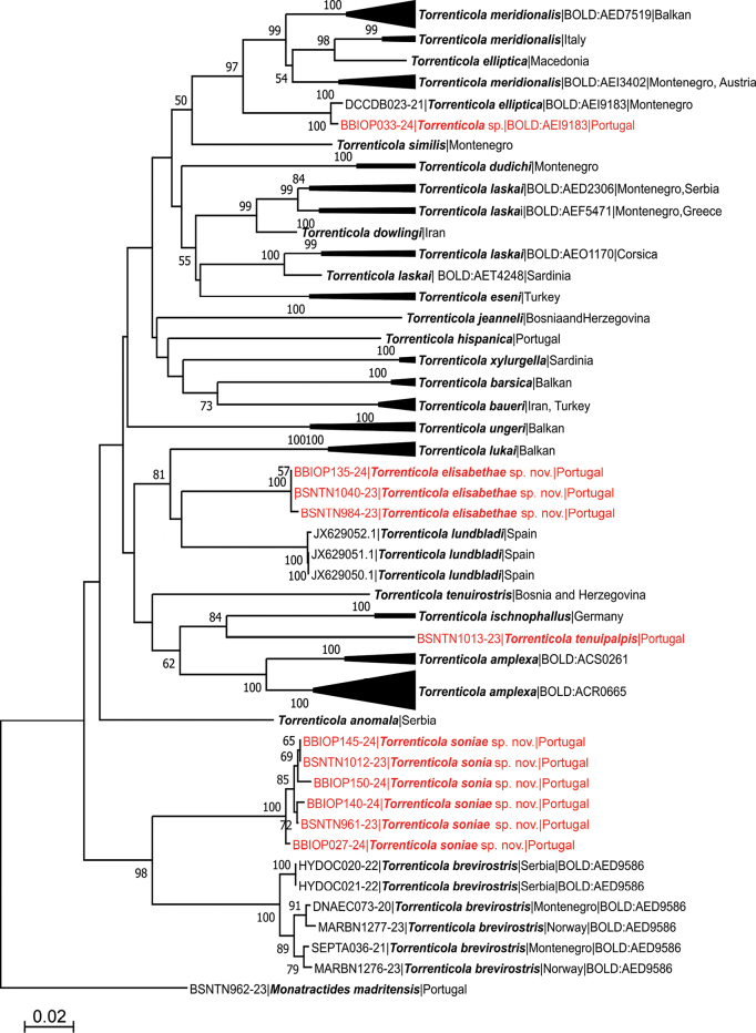 Figure 6.