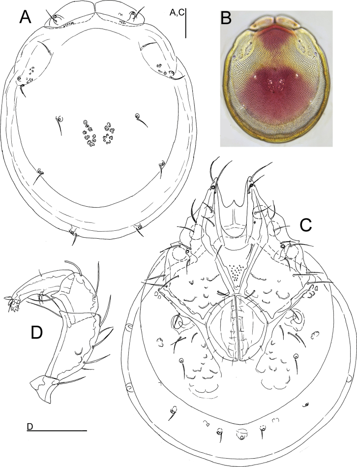 Figure 4.