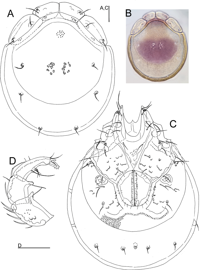 Figure 2.