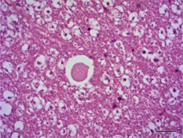 Figure 10