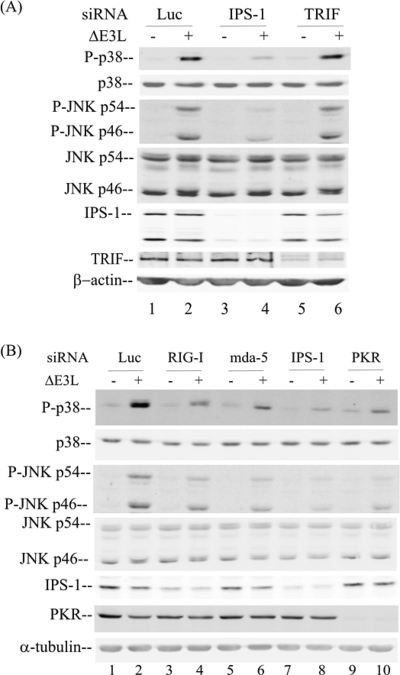 FIG. 6.