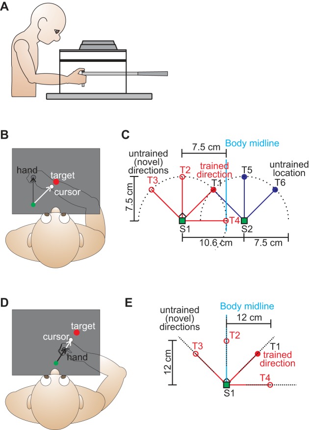 Fig. 1.