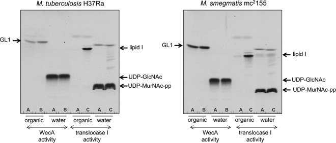 FIG 5