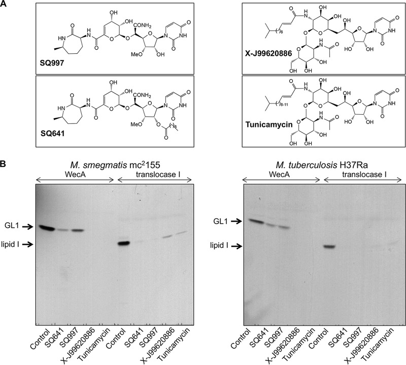 FIG 6