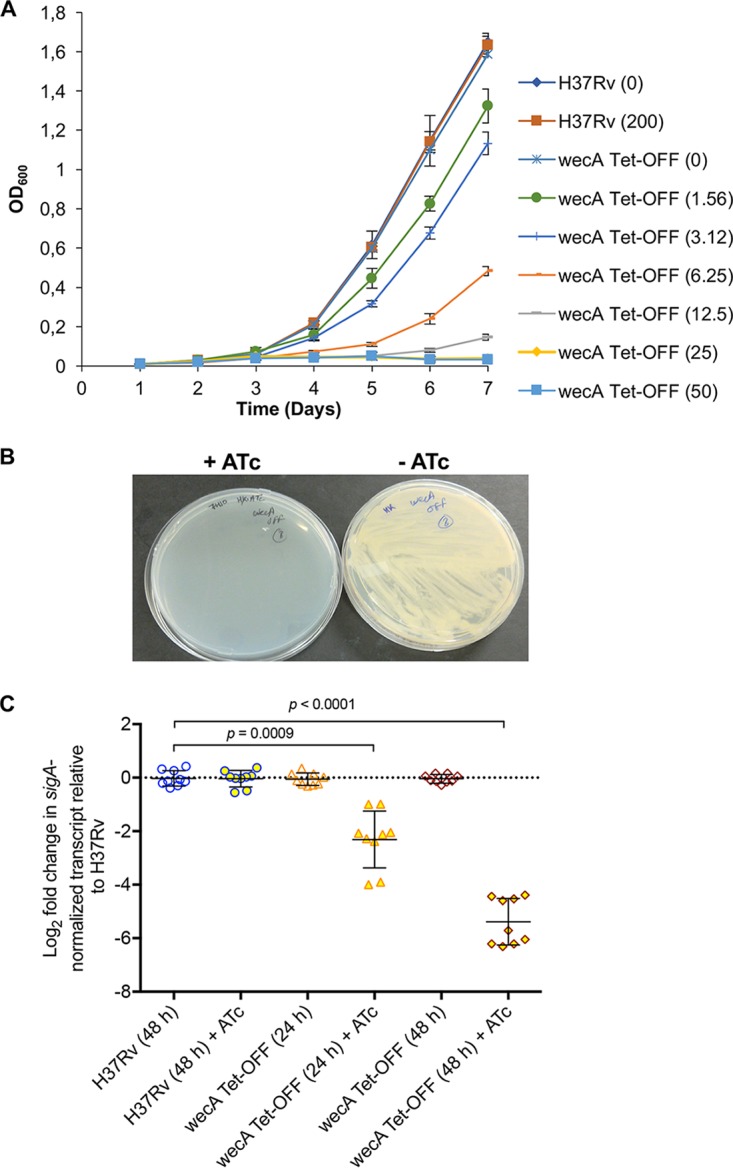 FIG 3