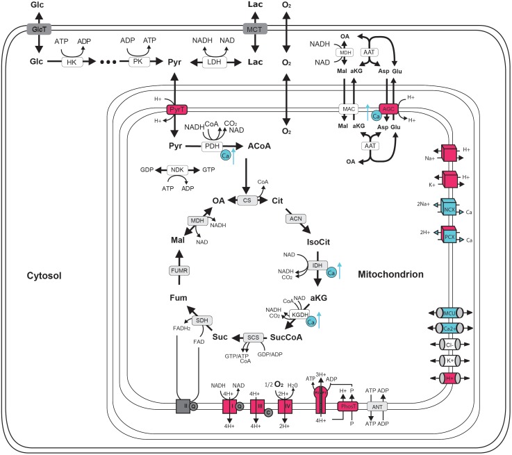 FIGURE 1