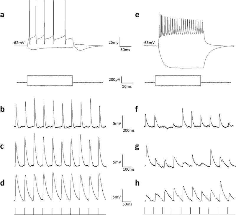 Figure 5: