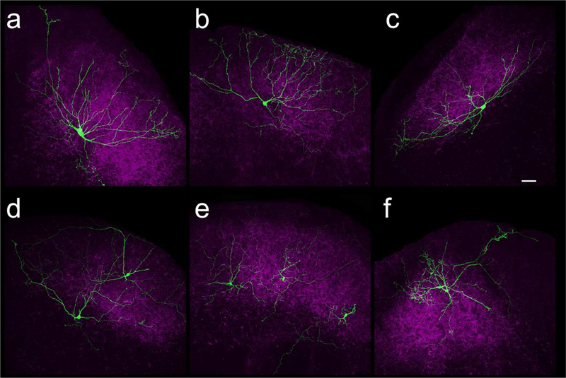 Figure 4: