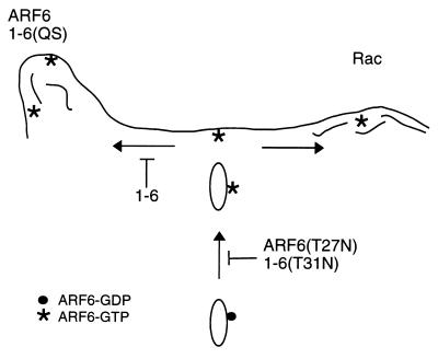 FIG. 8