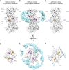 Figure 4—figure supplement 1.