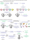 Figure 3—figure supplement 1.