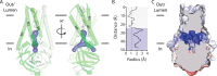 Figure 4—figure supplement 5.