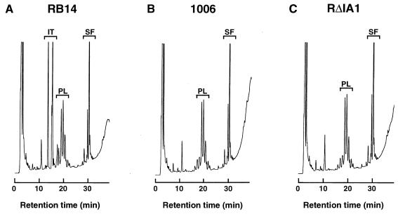 FIG. 4