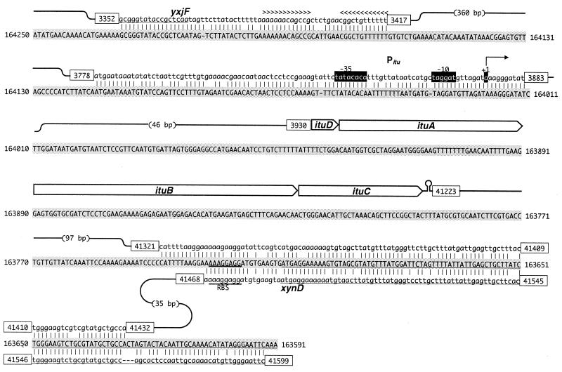 FIG. 5