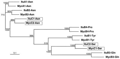 FIG. 8