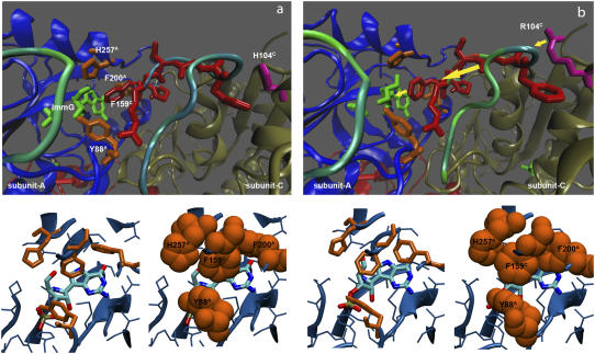 FIGURE 11