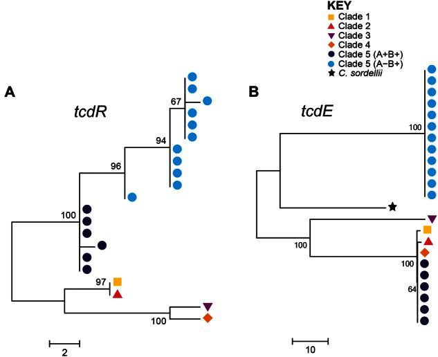 Fig. 3.—