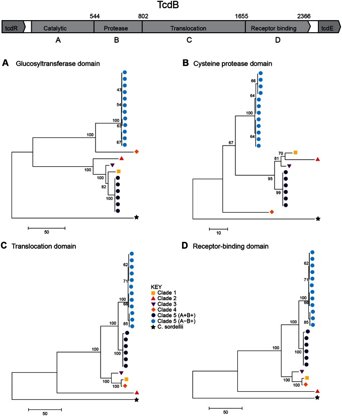 Fig. 2.—