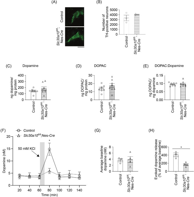 Fig. 6