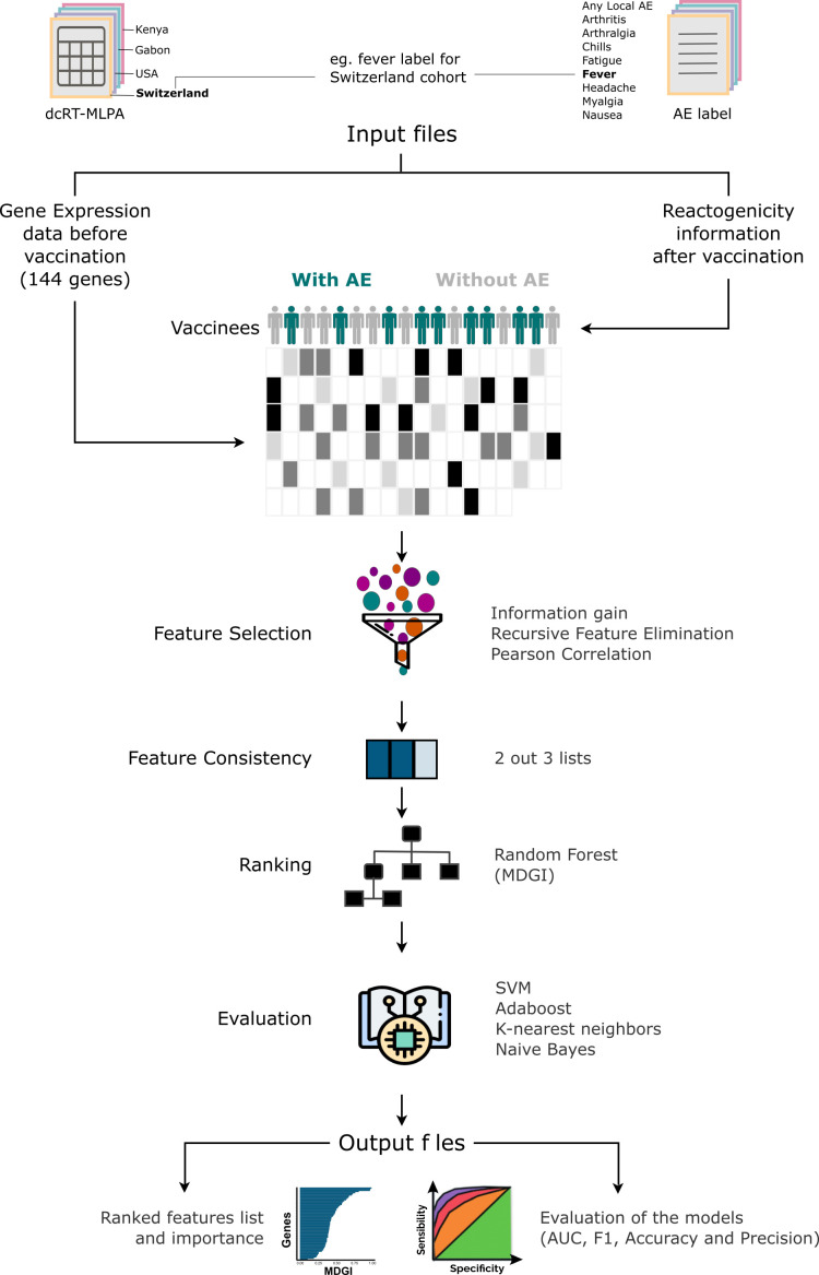 Figure 2