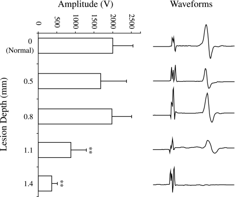 FIG. 6.