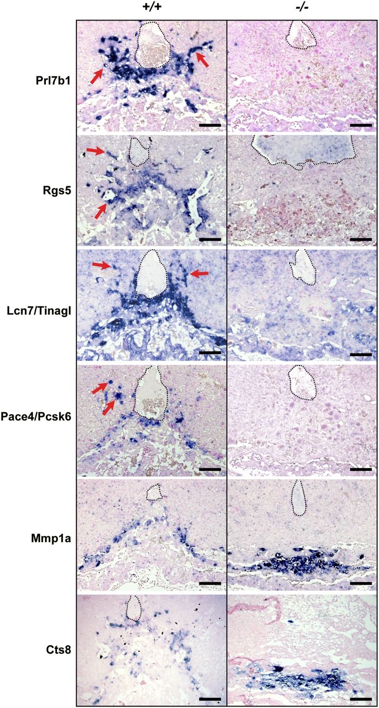 Figure 3.