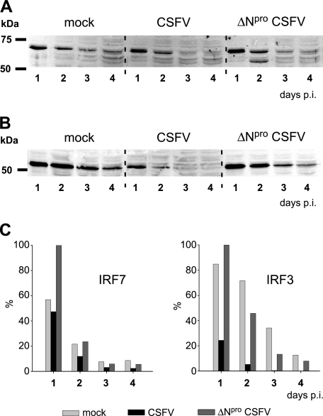 FIG. 7.