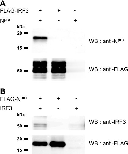 FIG. 5.