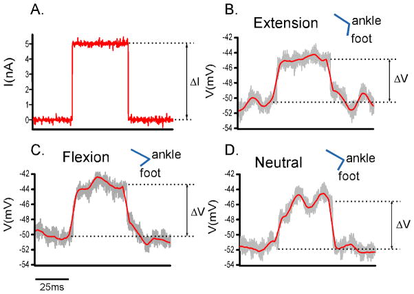 Fig 6