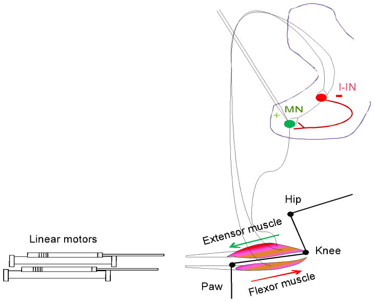 Fig 4