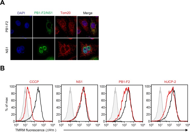 FIG 3